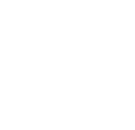 AmeDIva-Chakra-11